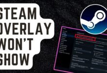 Steam Overlay Not Working