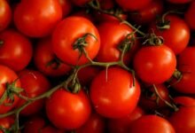 Health Benefits of Tomatoes