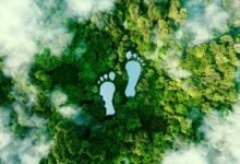 How to Travel Sustainably Across the UK