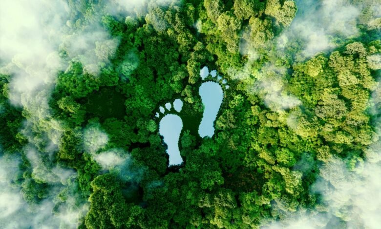 How to Travel Sustainably Across the UK