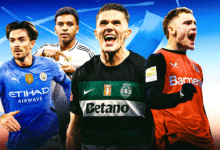The Economics of Football Transfers