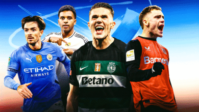 The Economics of Football Transfers