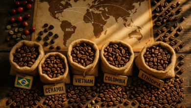Top 10 Coffee Exporting Countries 2025